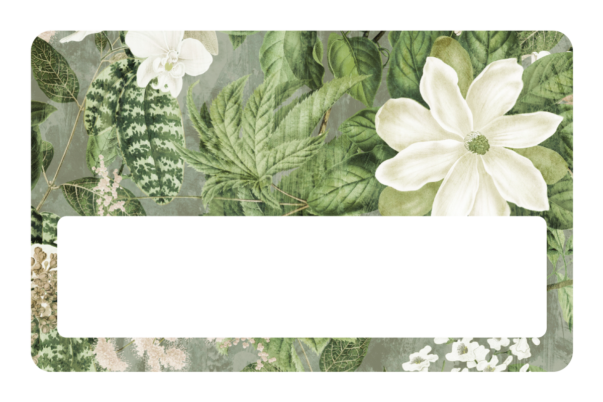 Bloom Room