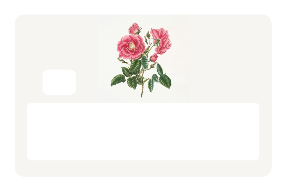 Petals & Positivity
