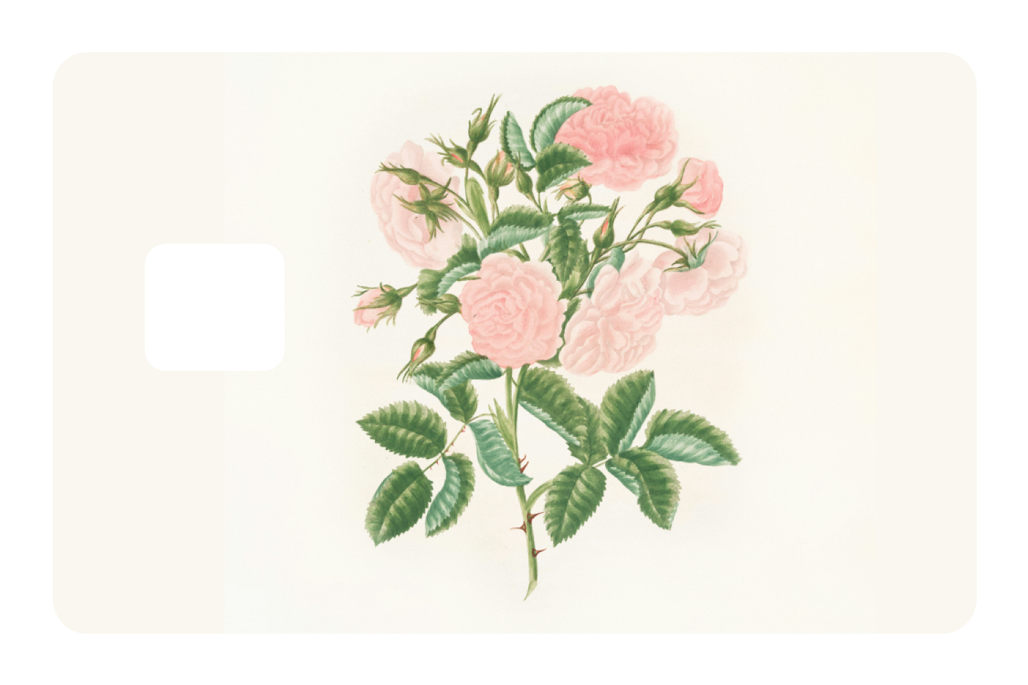 Petals in Pink