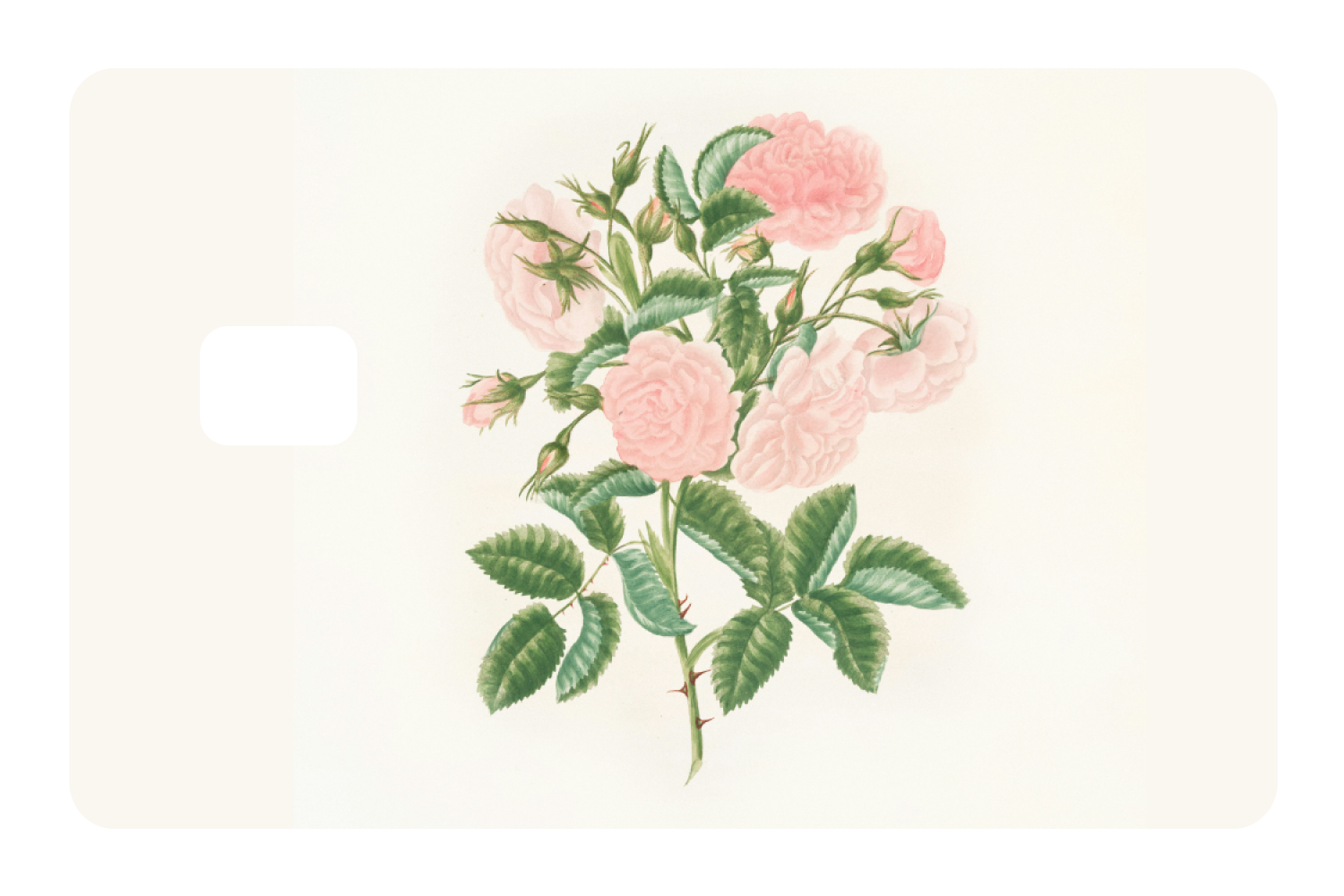 Petals in Pink