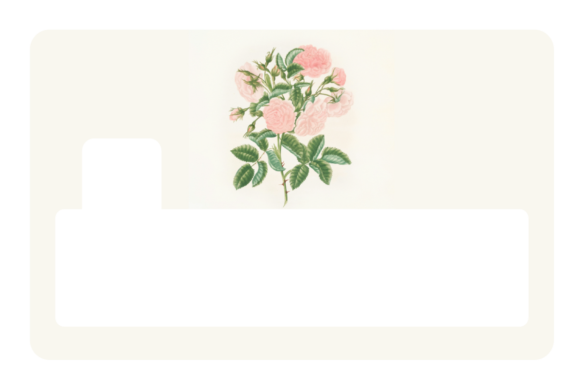 Petals in Pink