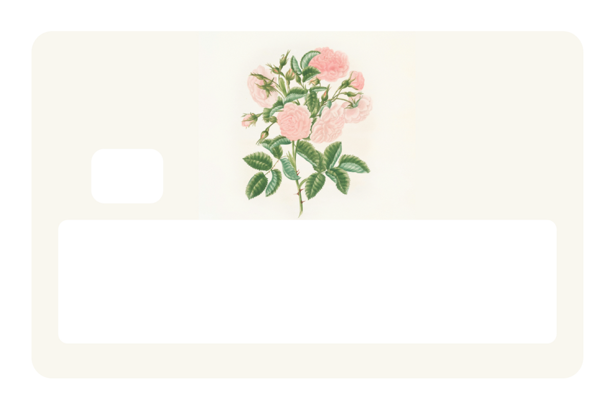 Petals in Pink