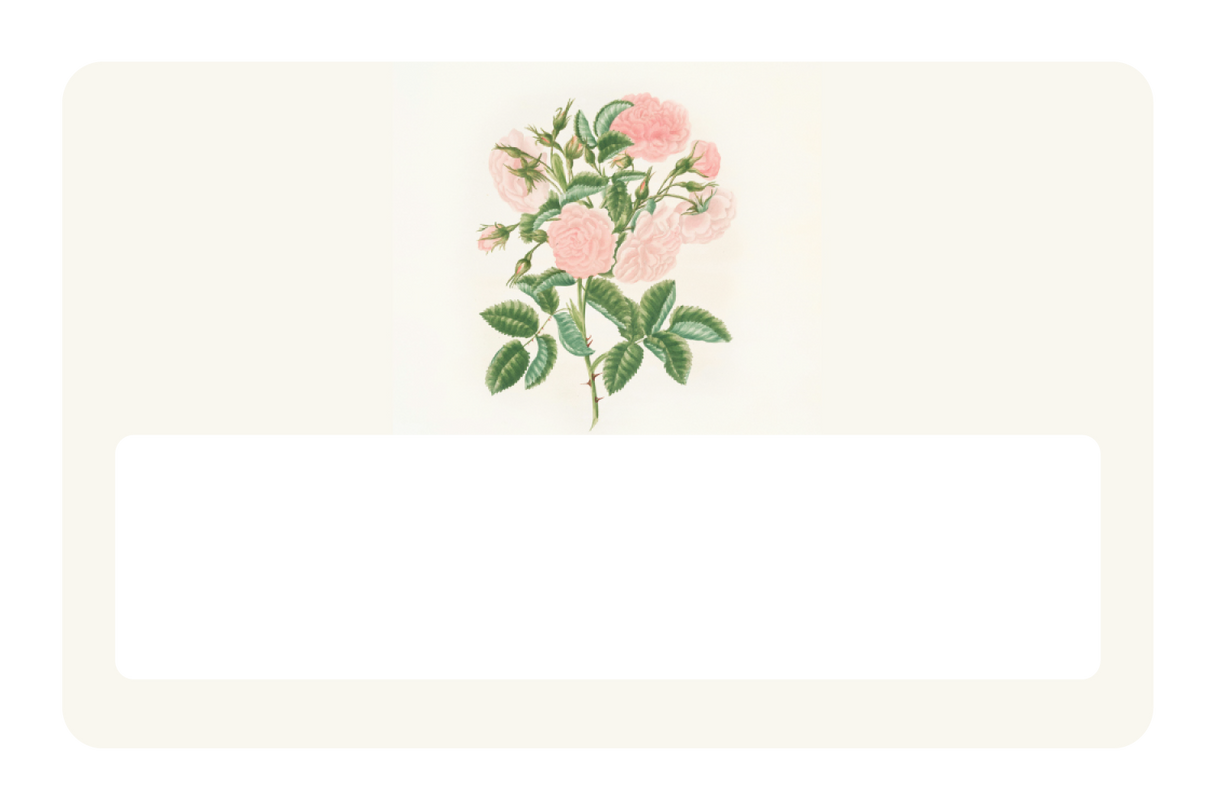 Petals in Pink