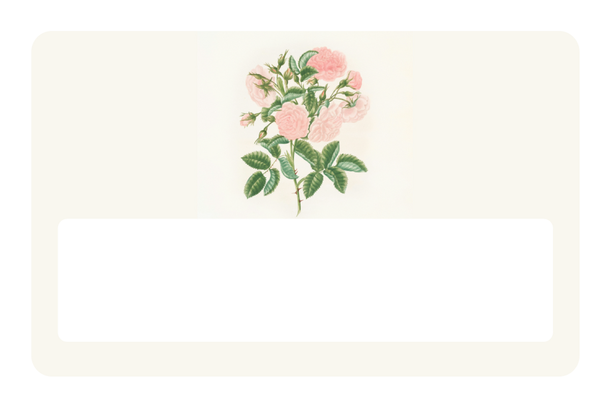 Petals in Pink