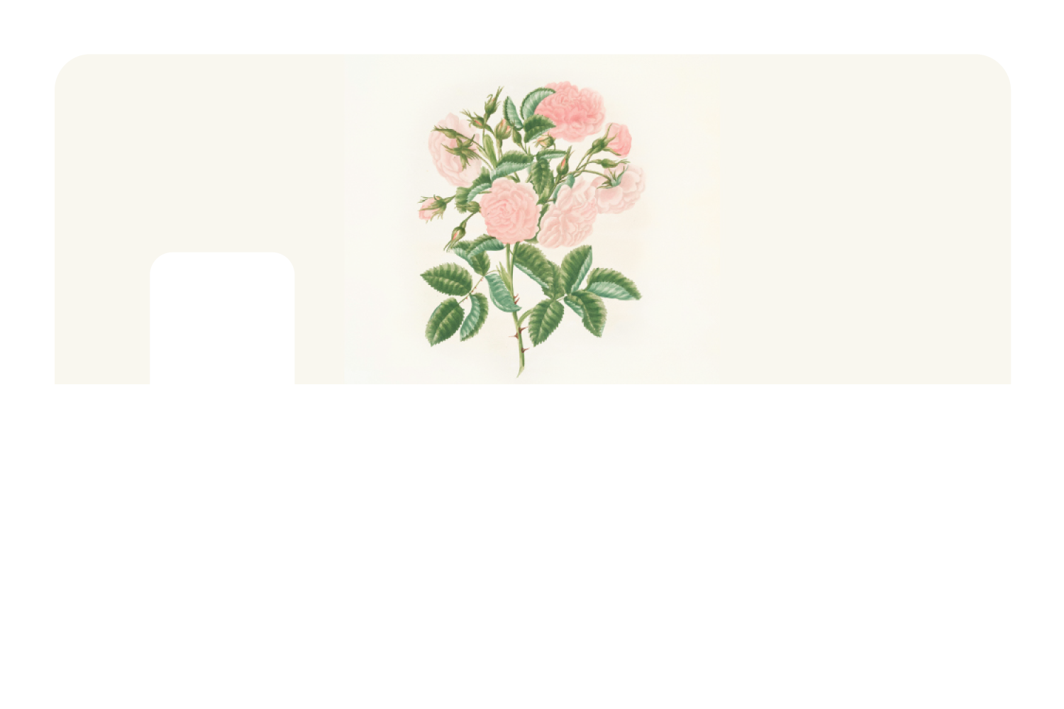 Petals in Pink
