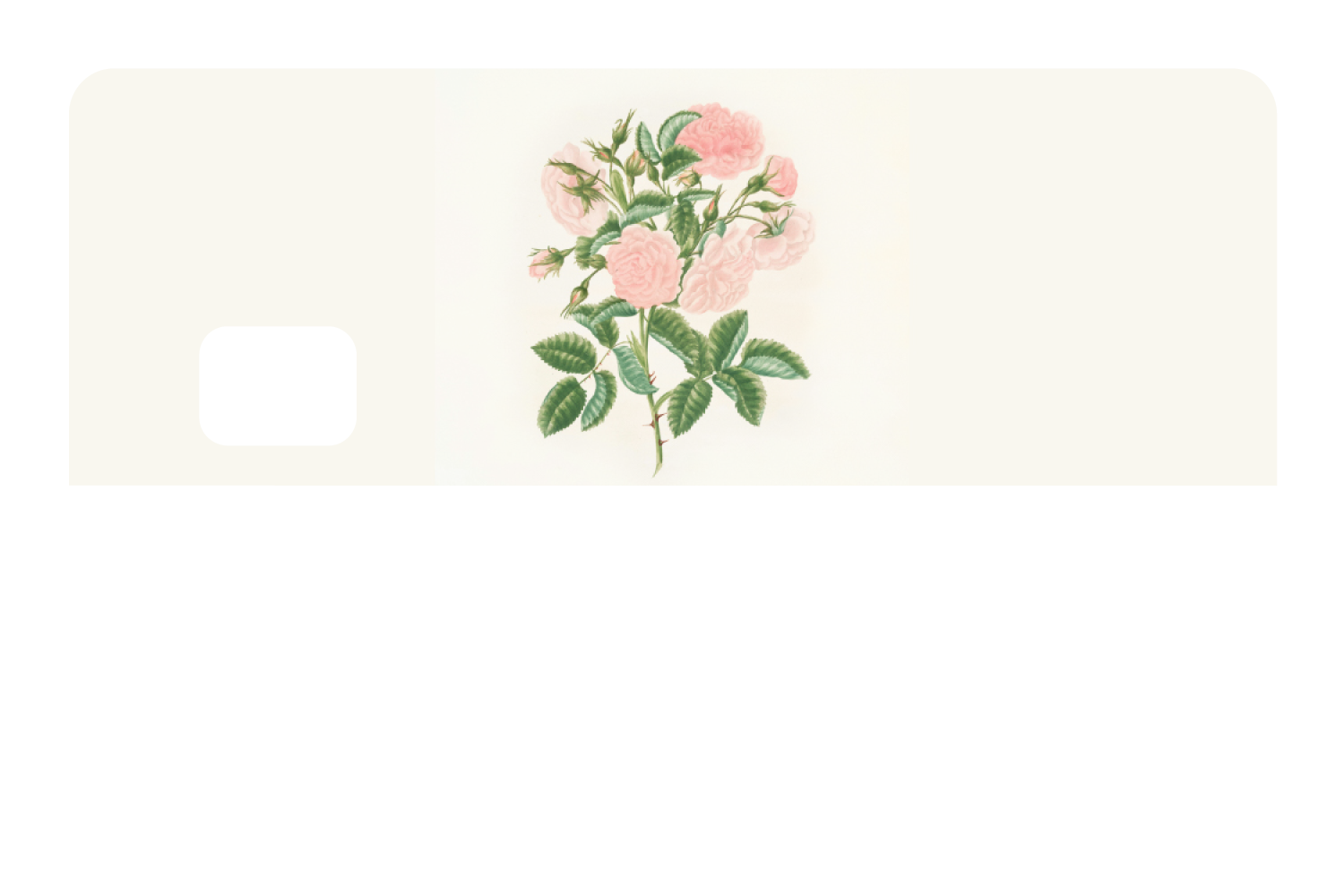 Petals in Pink