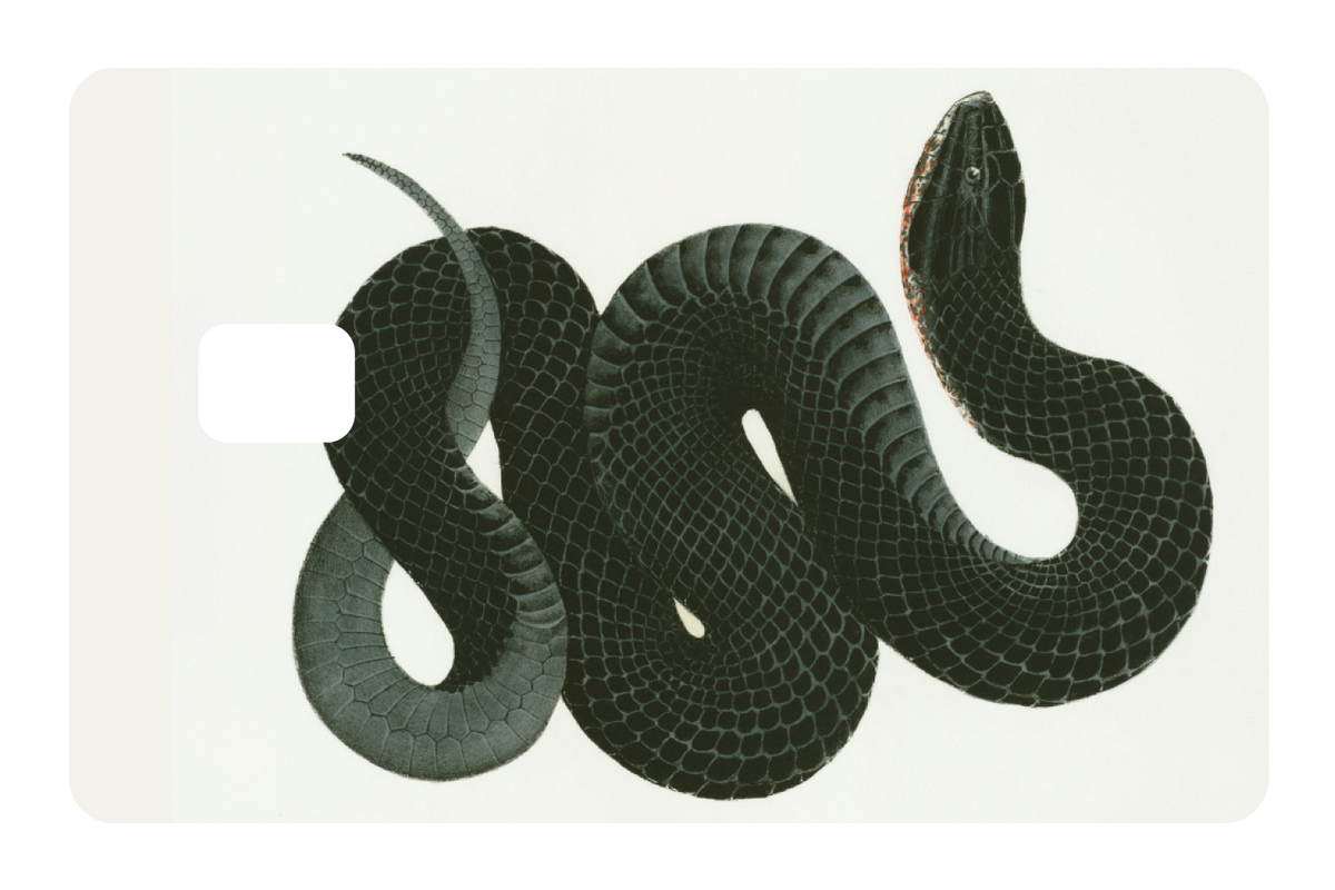 Black Racer