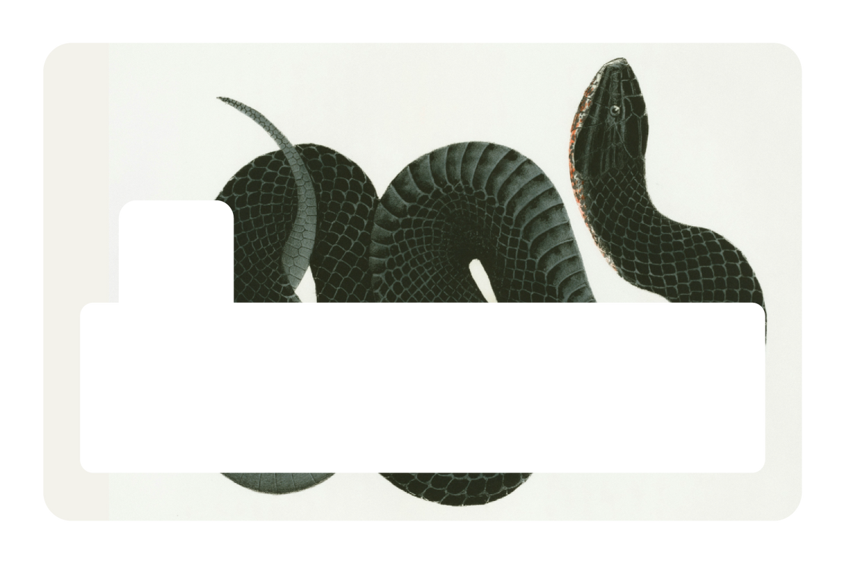 Black Racer