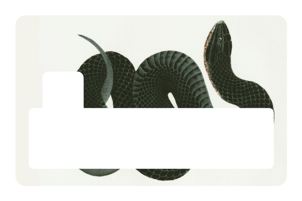 Black Racer