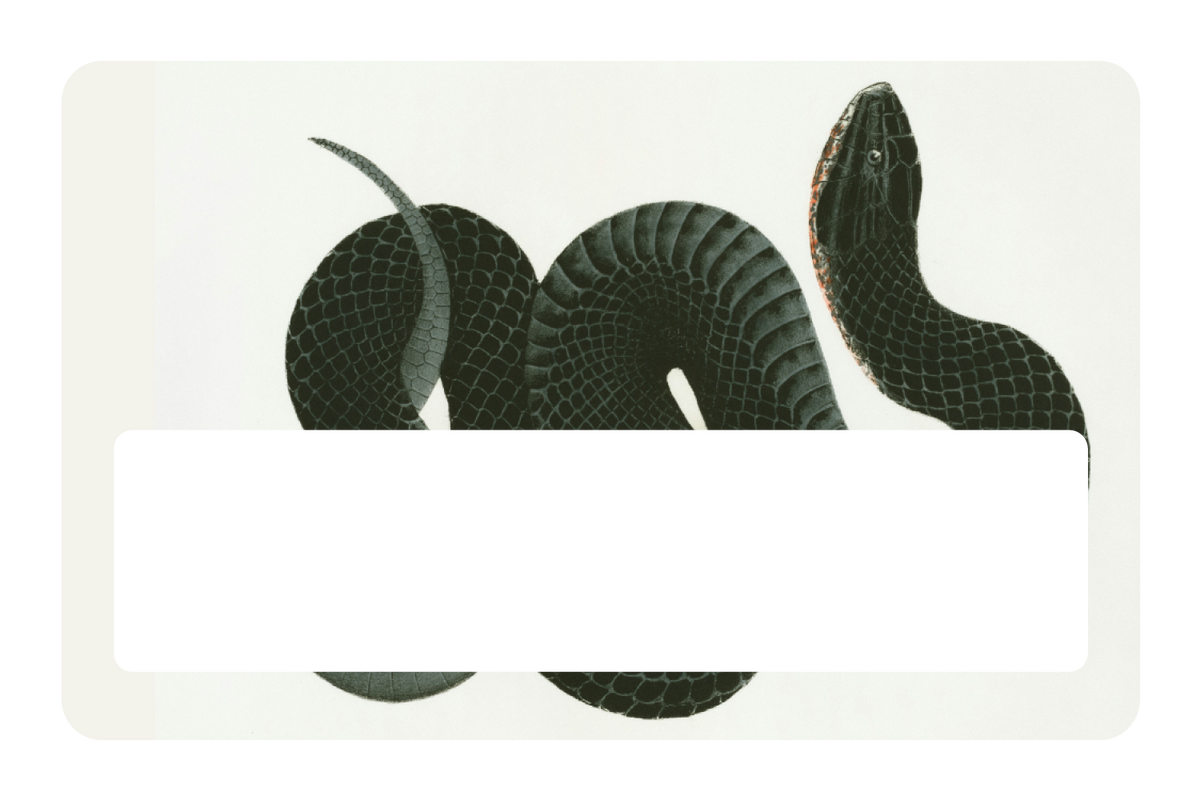 Black Racer