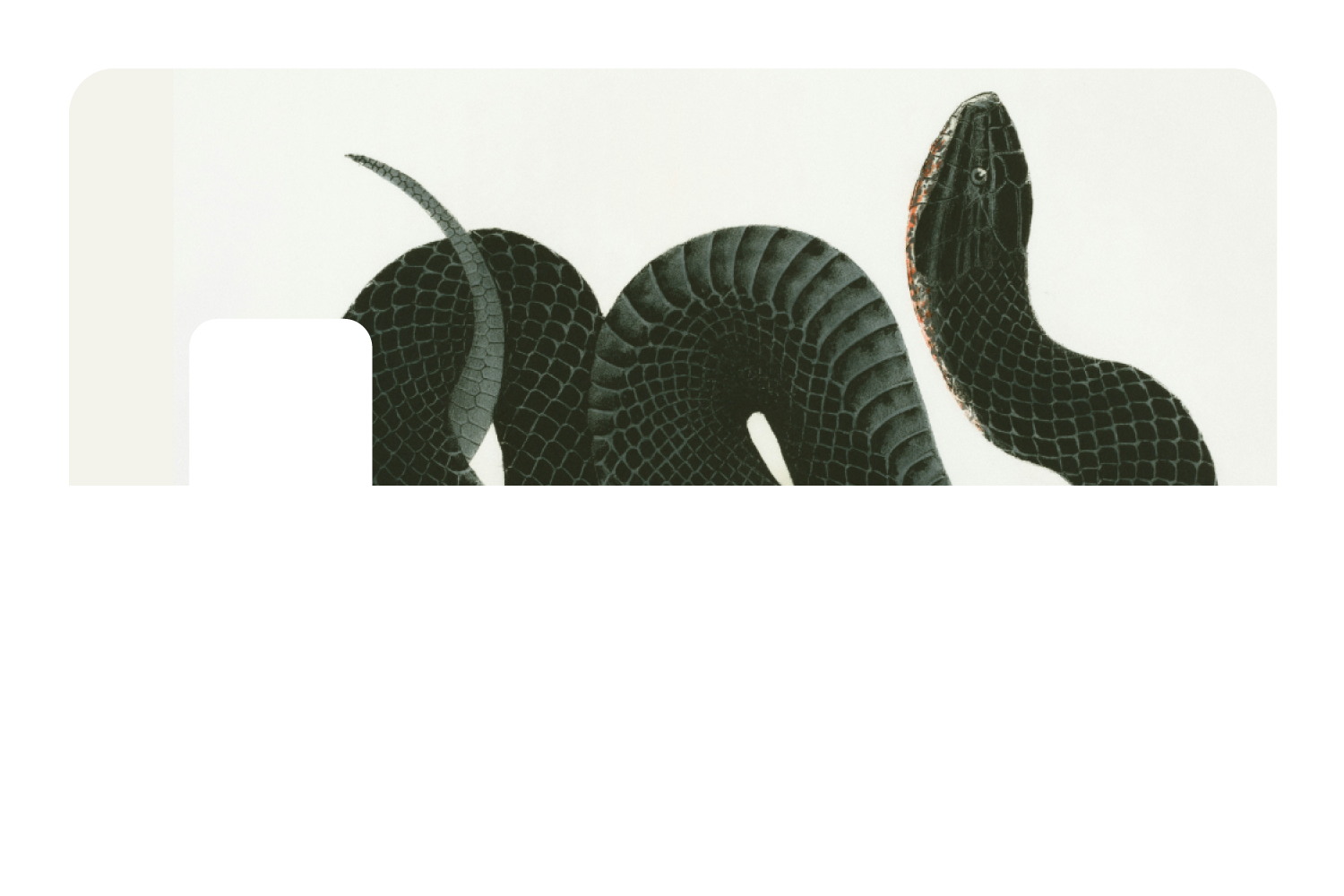 Black Racer