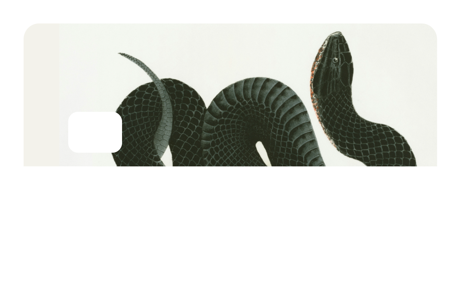 Black Racer