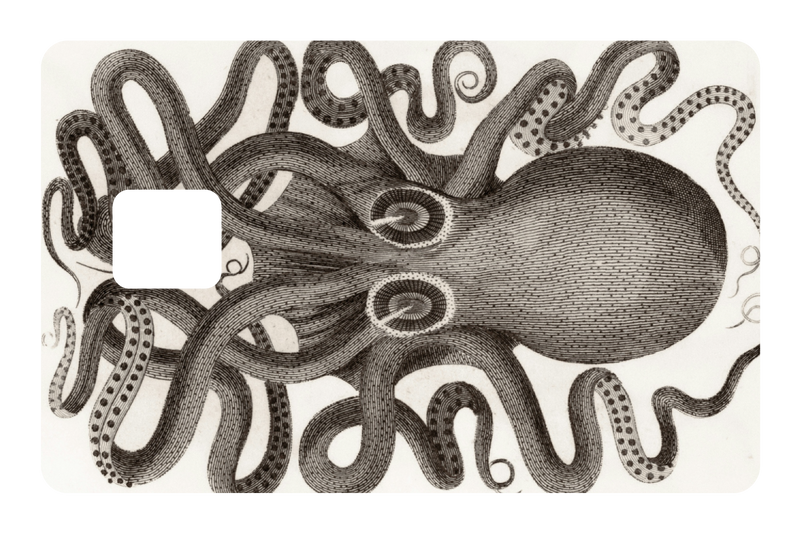 Octo