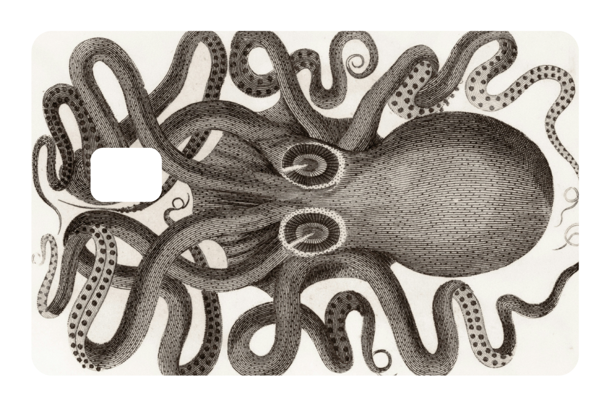 Octo
