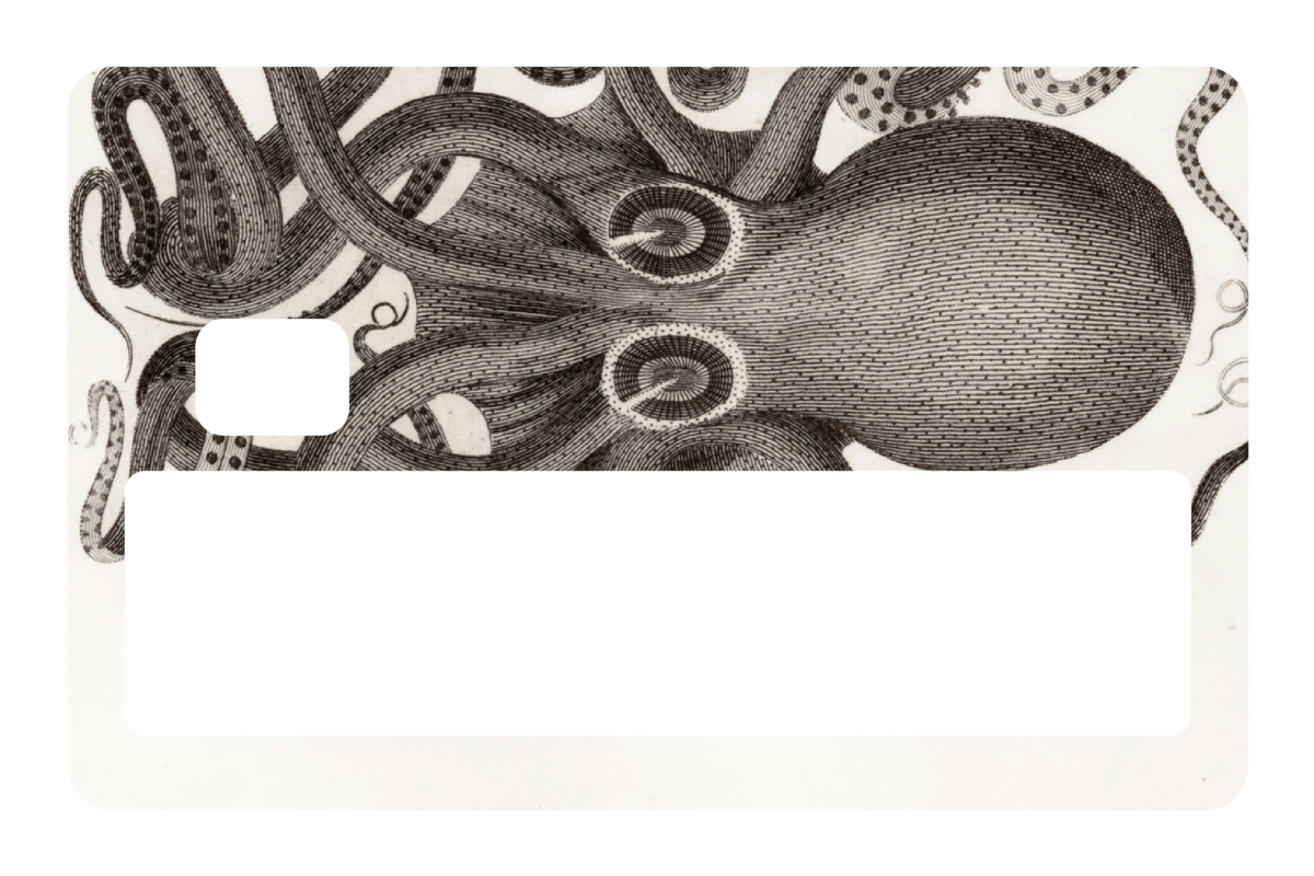 Octo