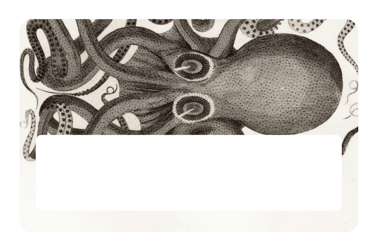 Octo