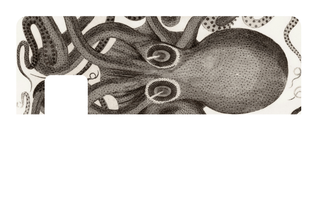 Octo