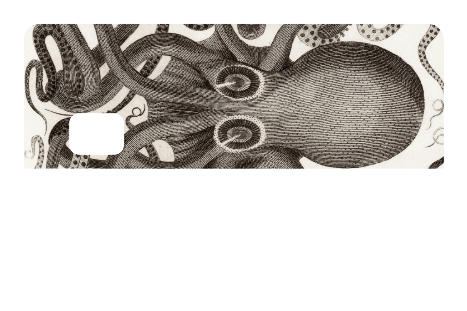 Octo