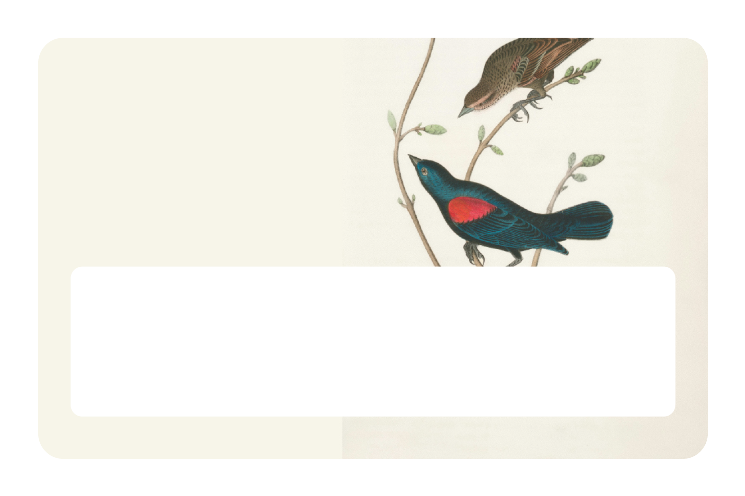 At The Tree Top
