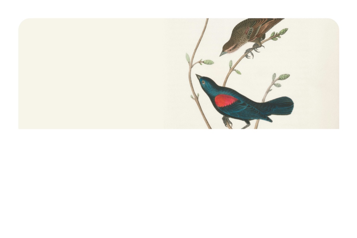 At The Tree Top