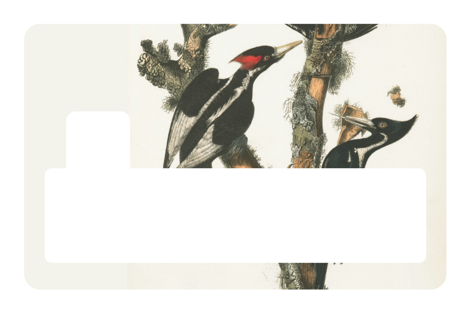 Wood Peckers