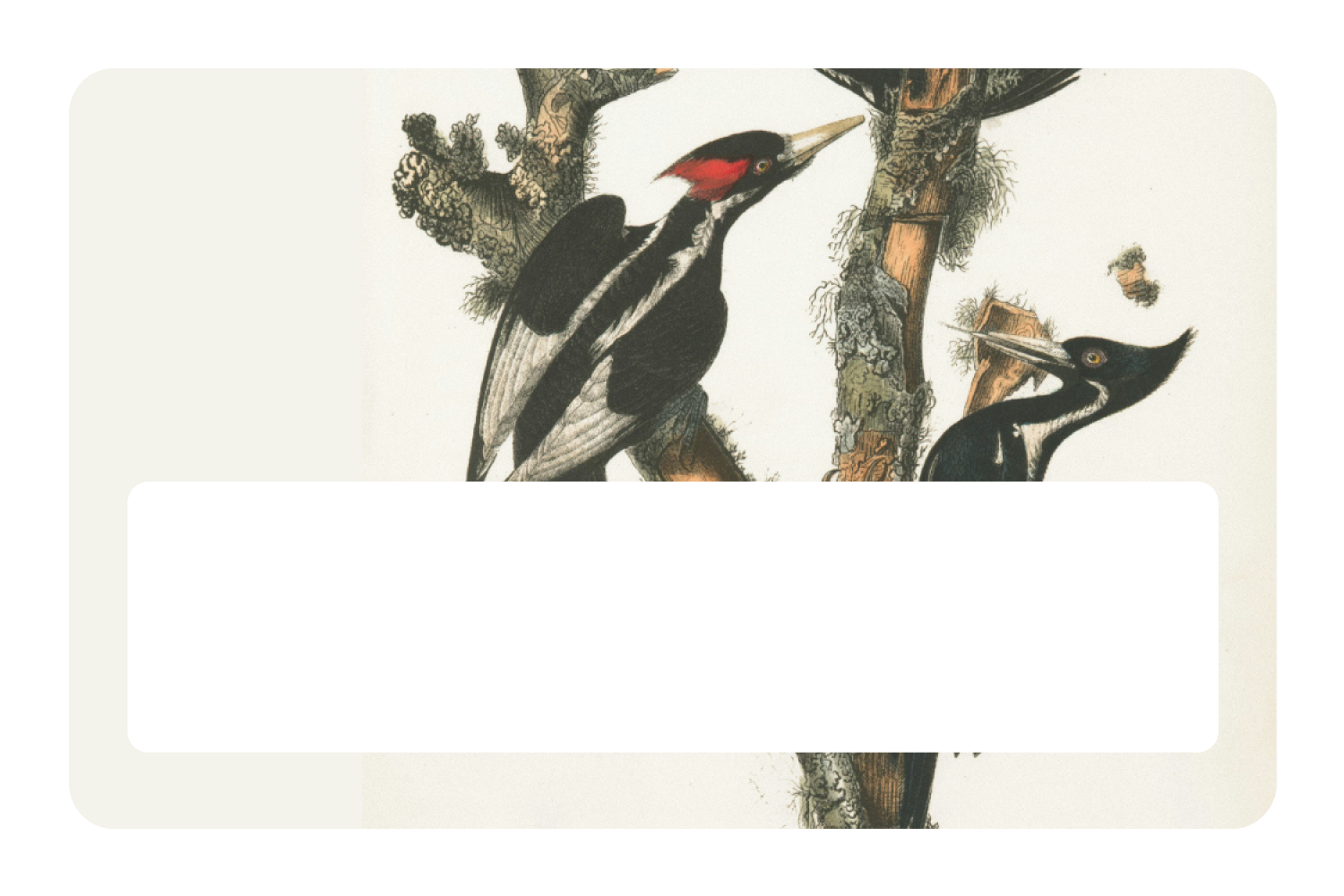 Wood Peckers