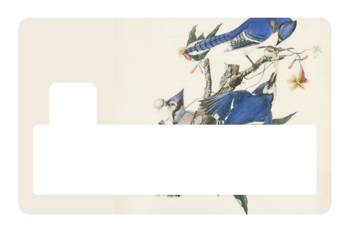 Blue Jays