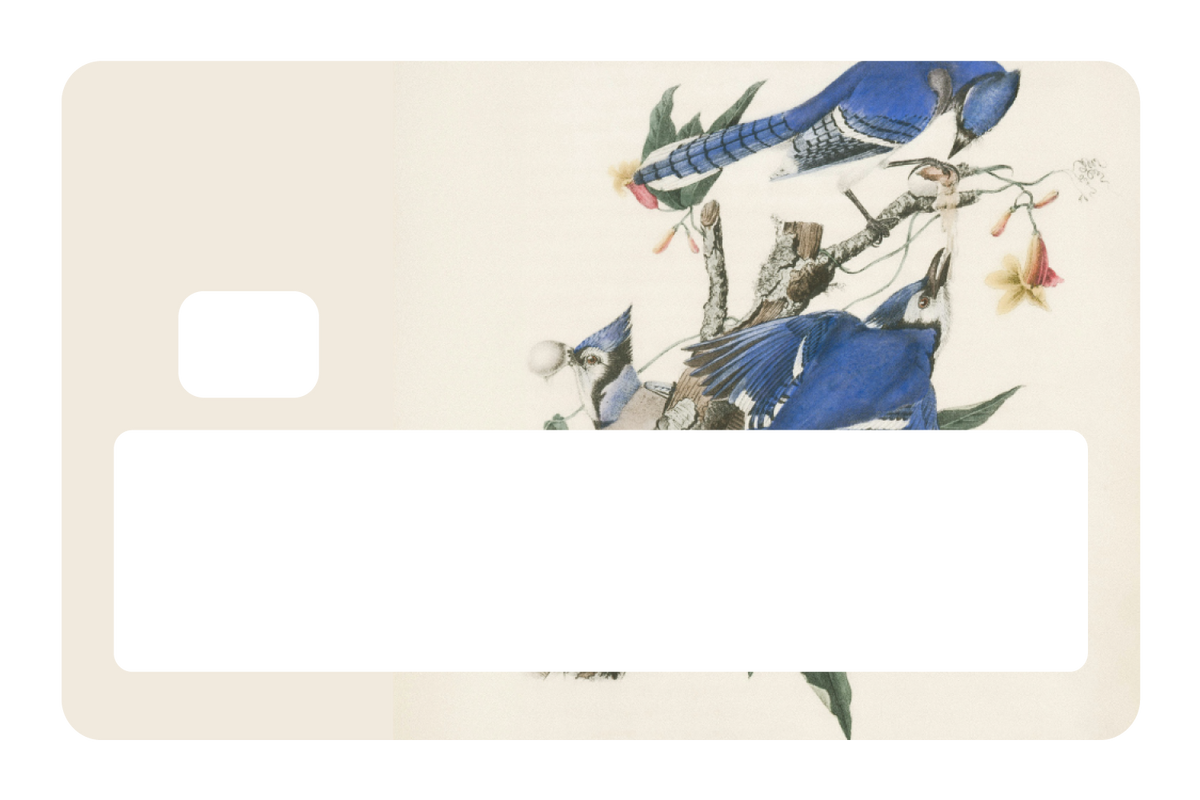 Blue Jays