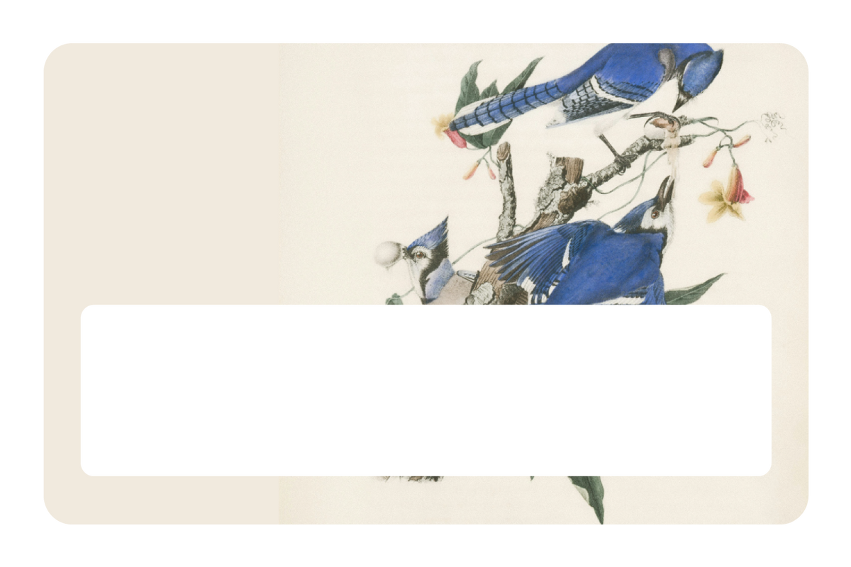 Blue Jays