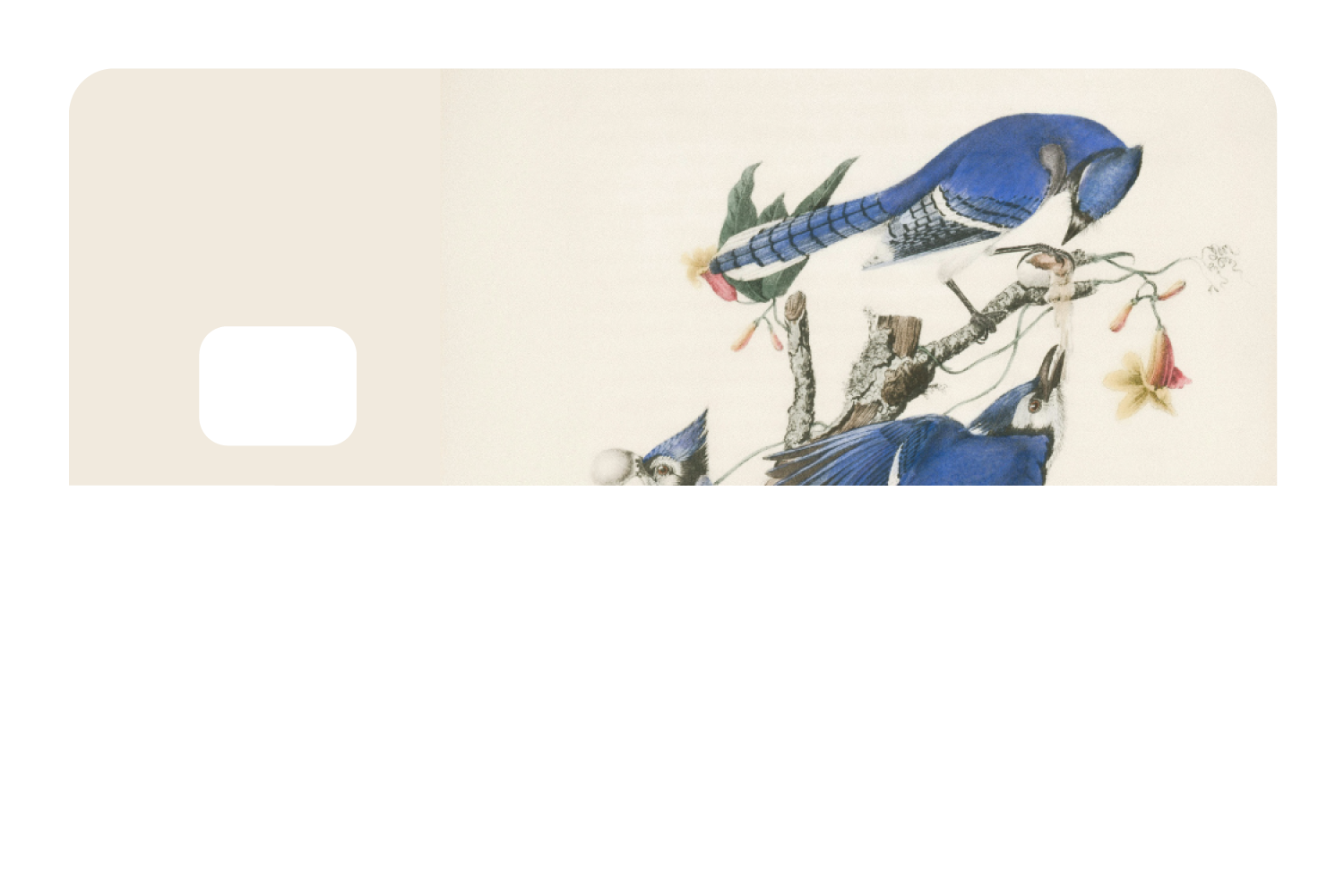 Blue Jays