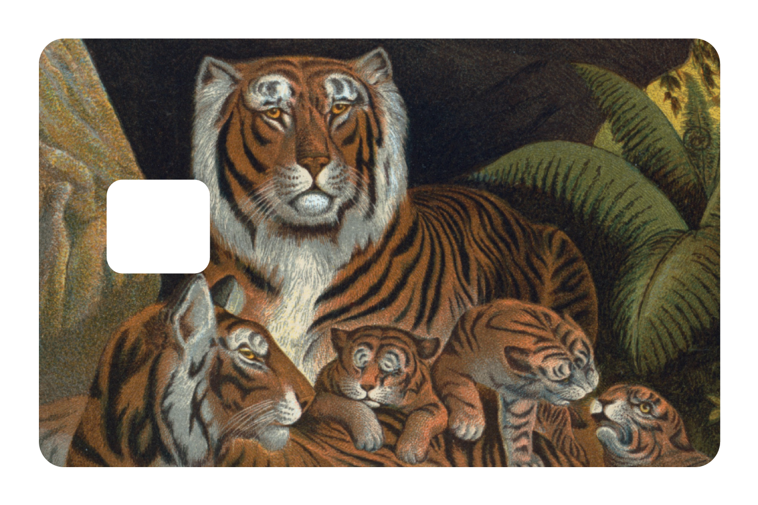Tiger Family