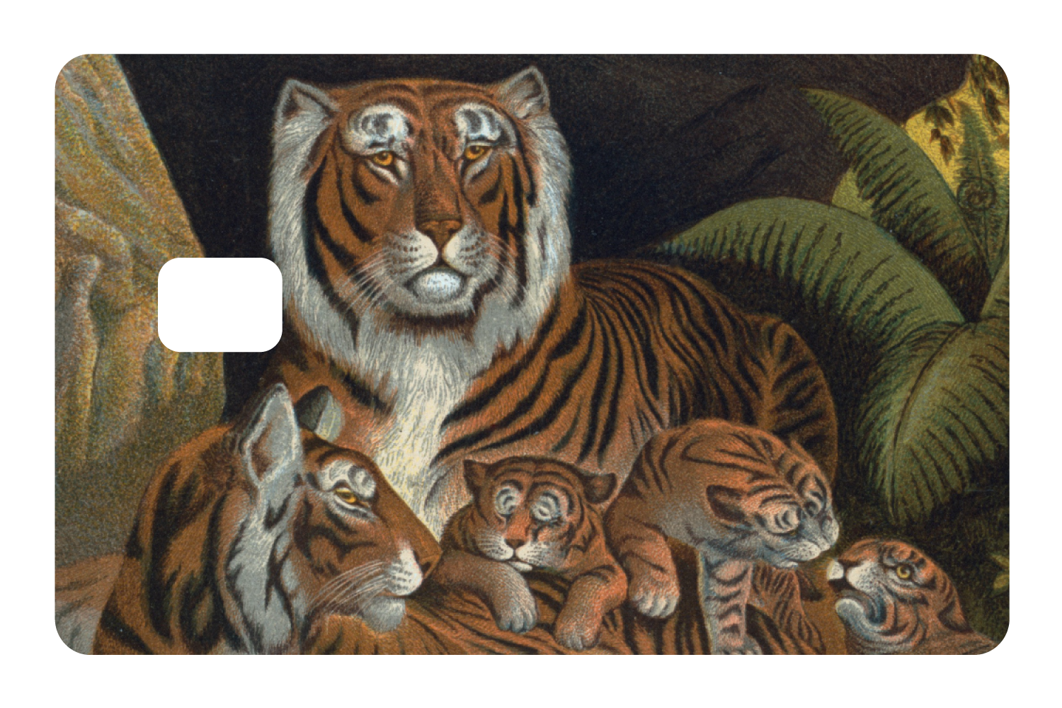 Tiger Family