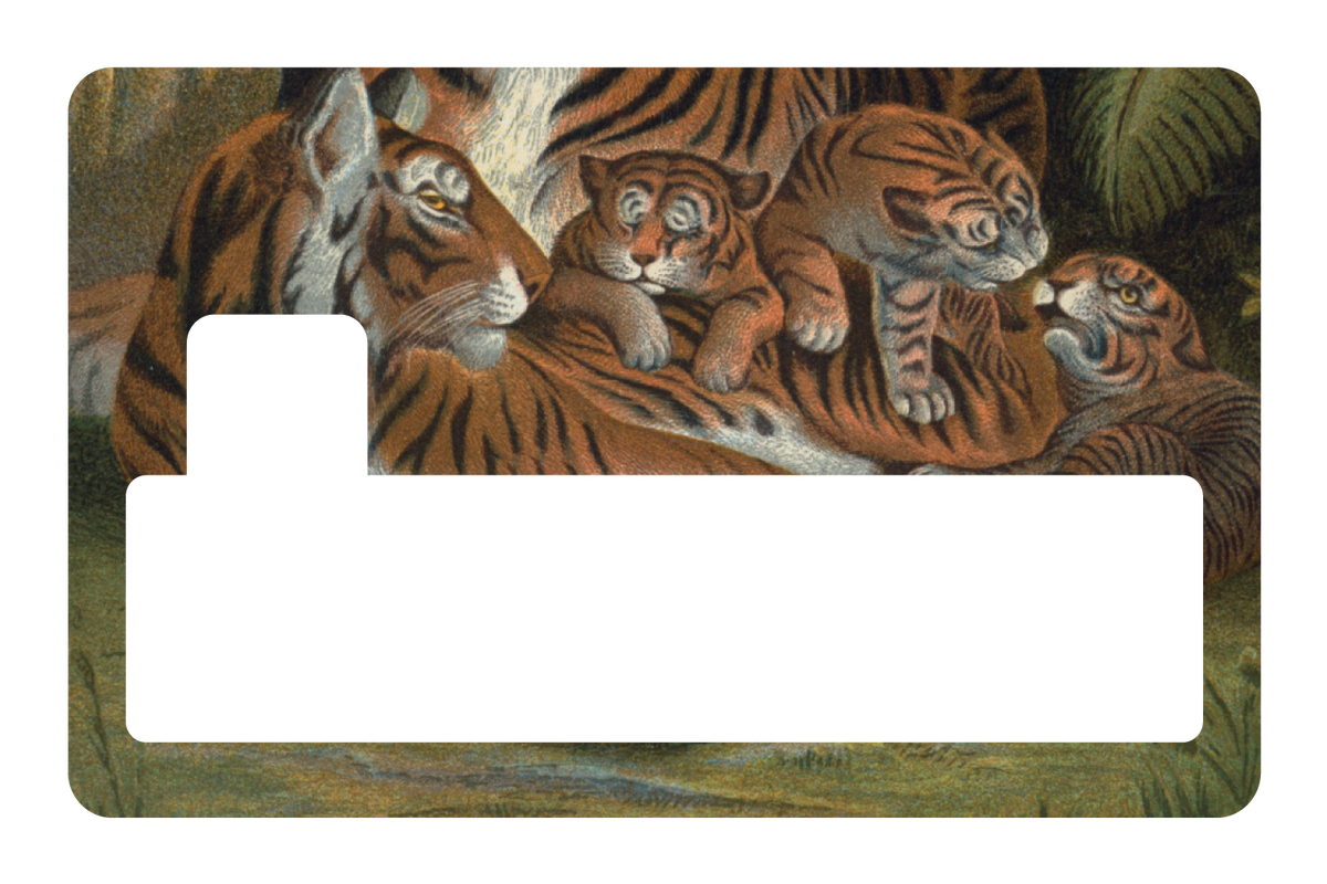 Tiger Family