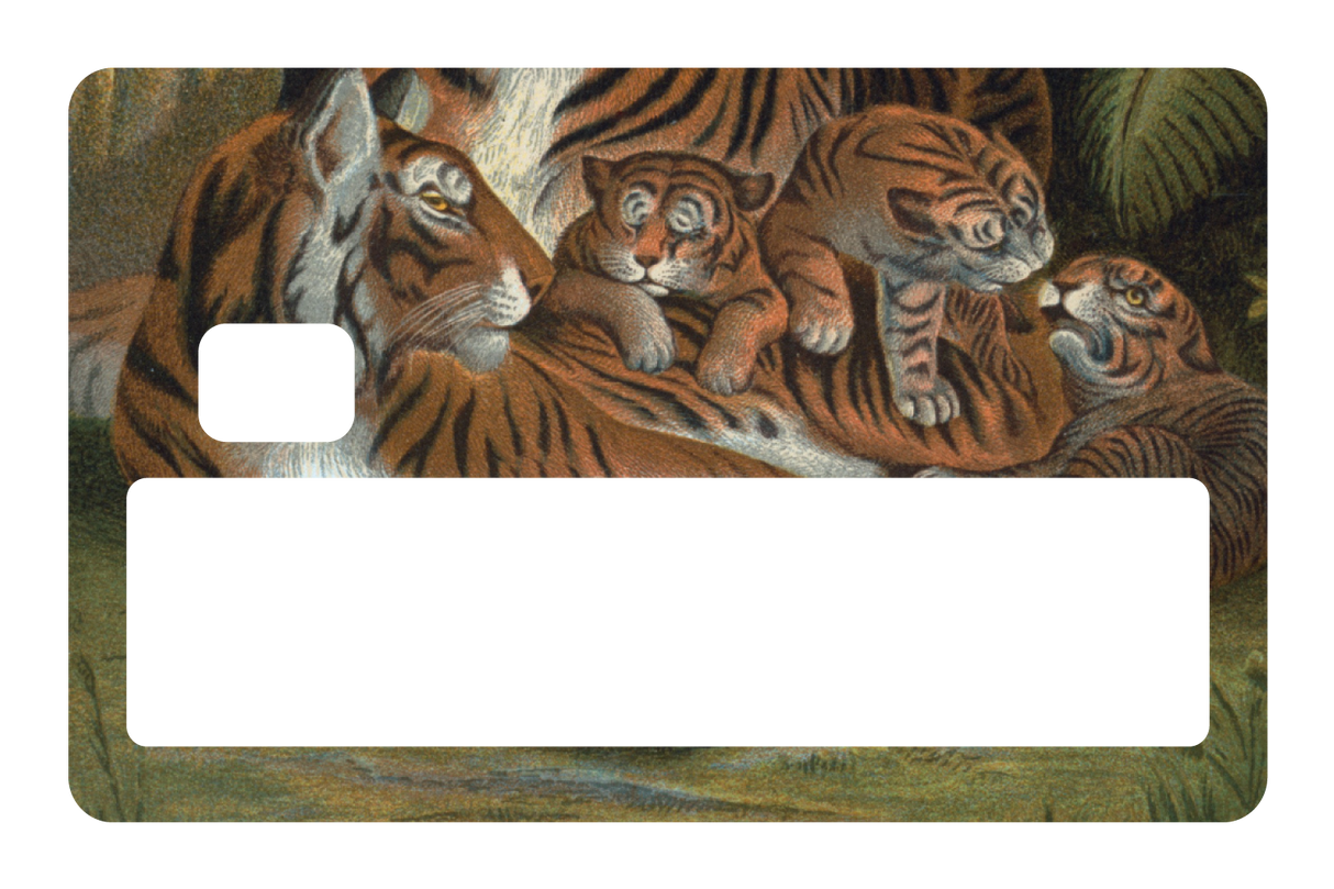 Tiger Family