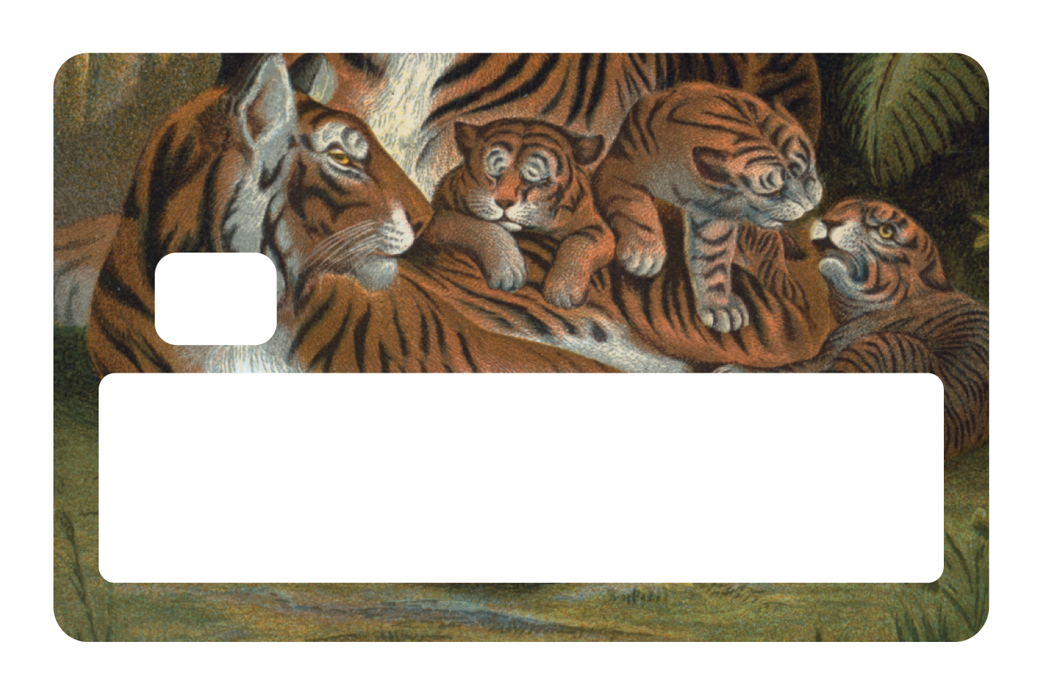 Tiger Family