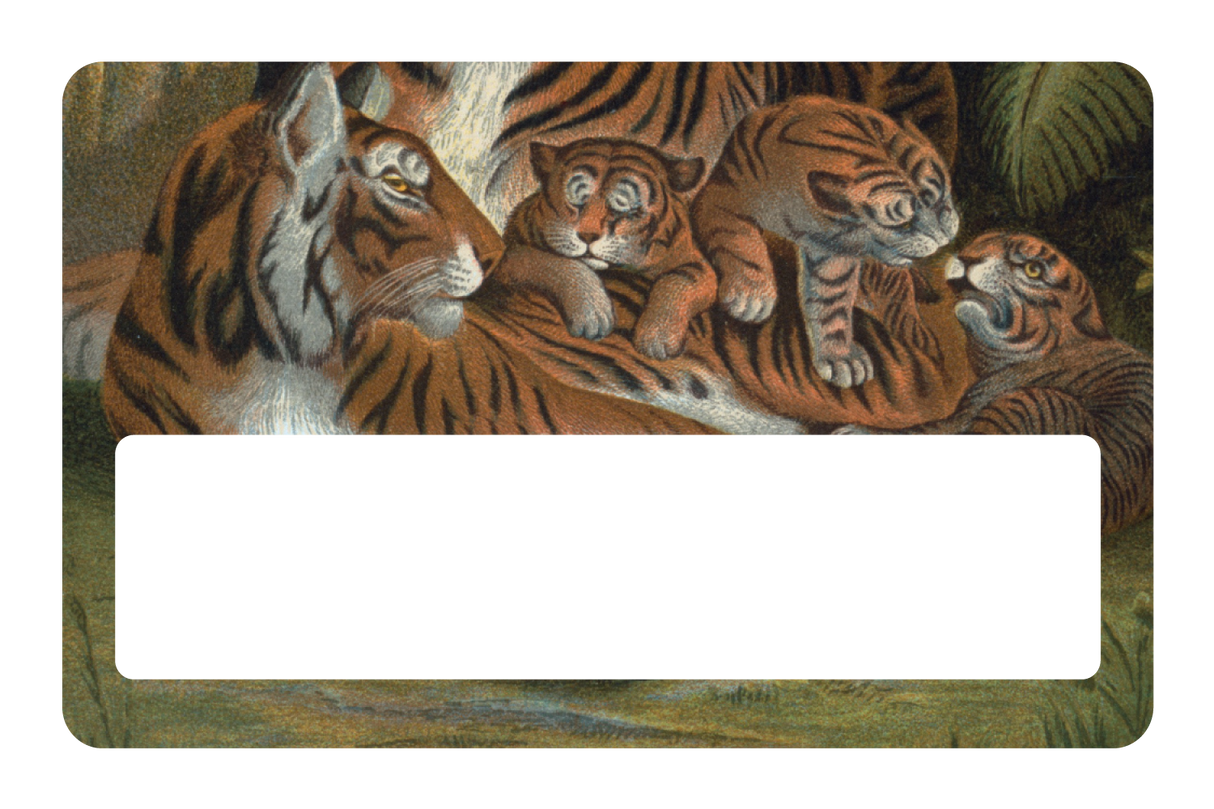 Tiger Family
