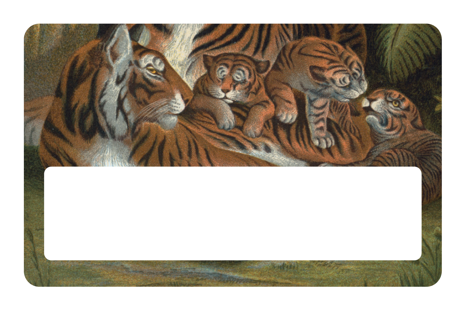 Tiger Family