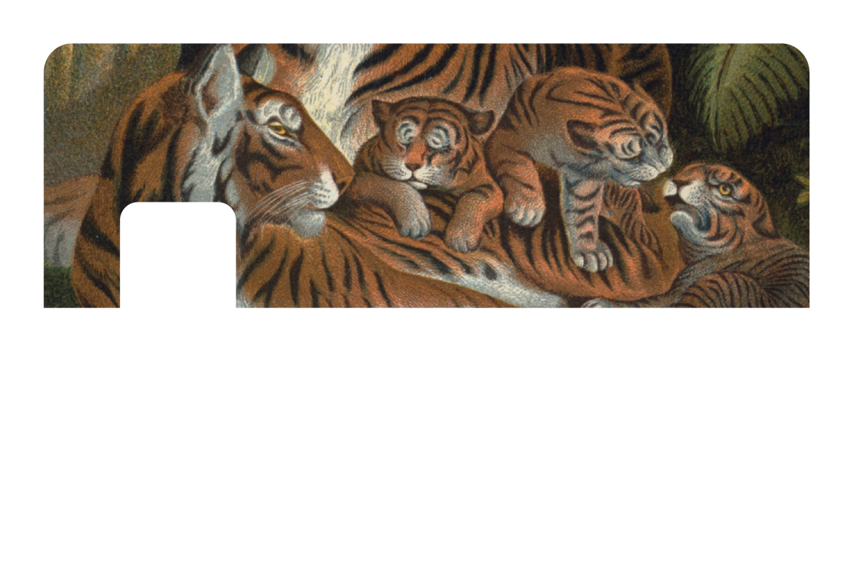 Tiger Family