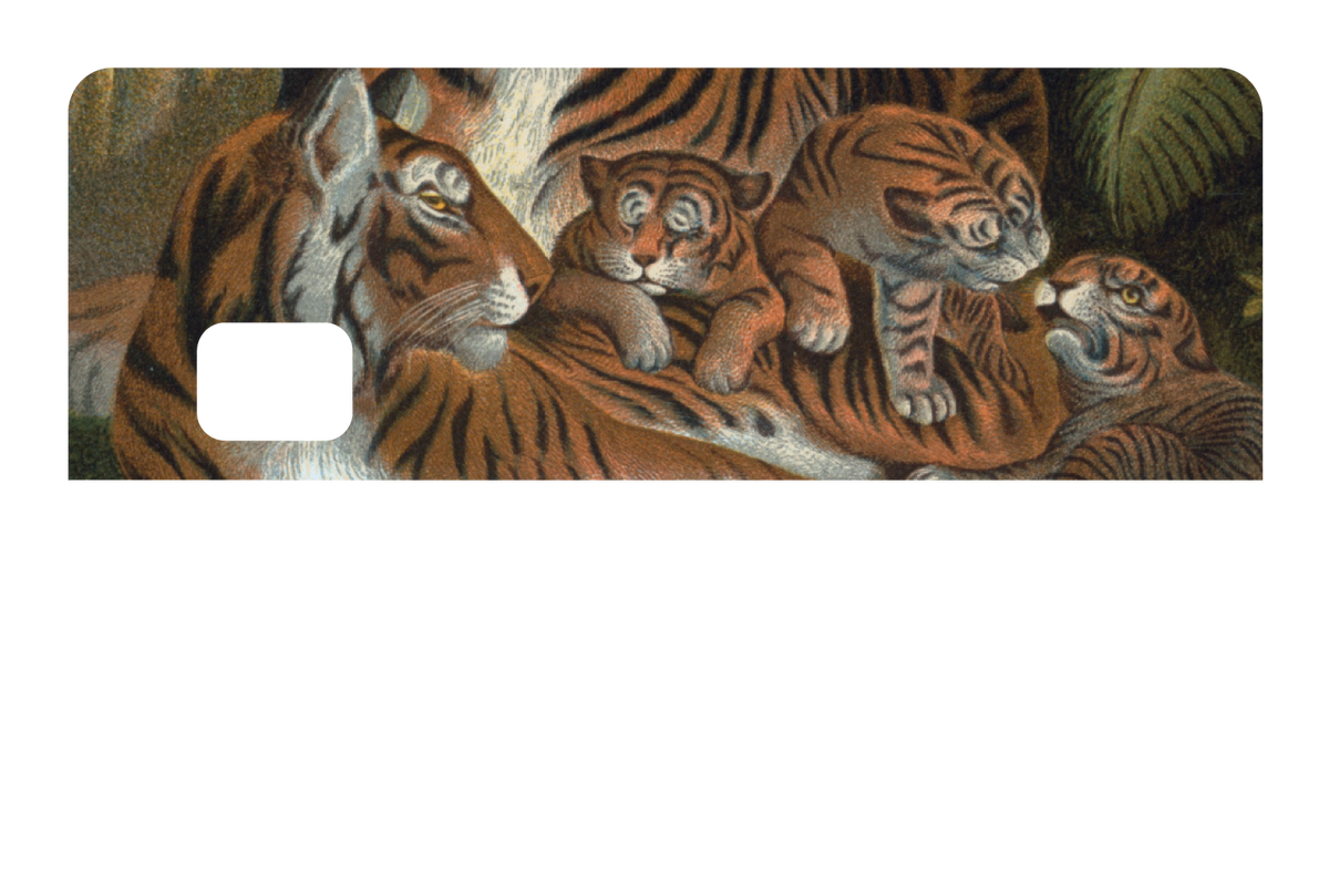 Tiger Family