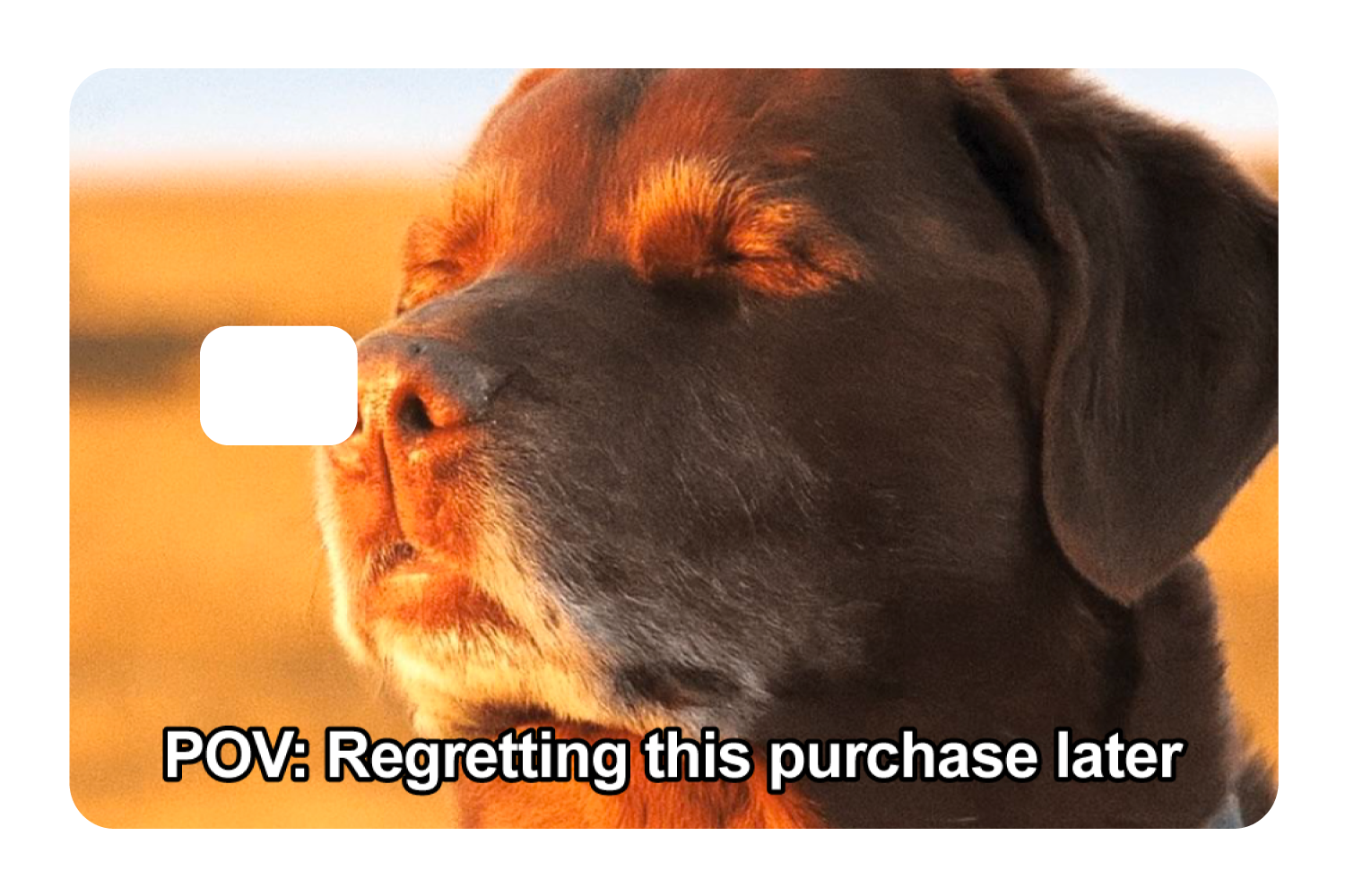 Regret