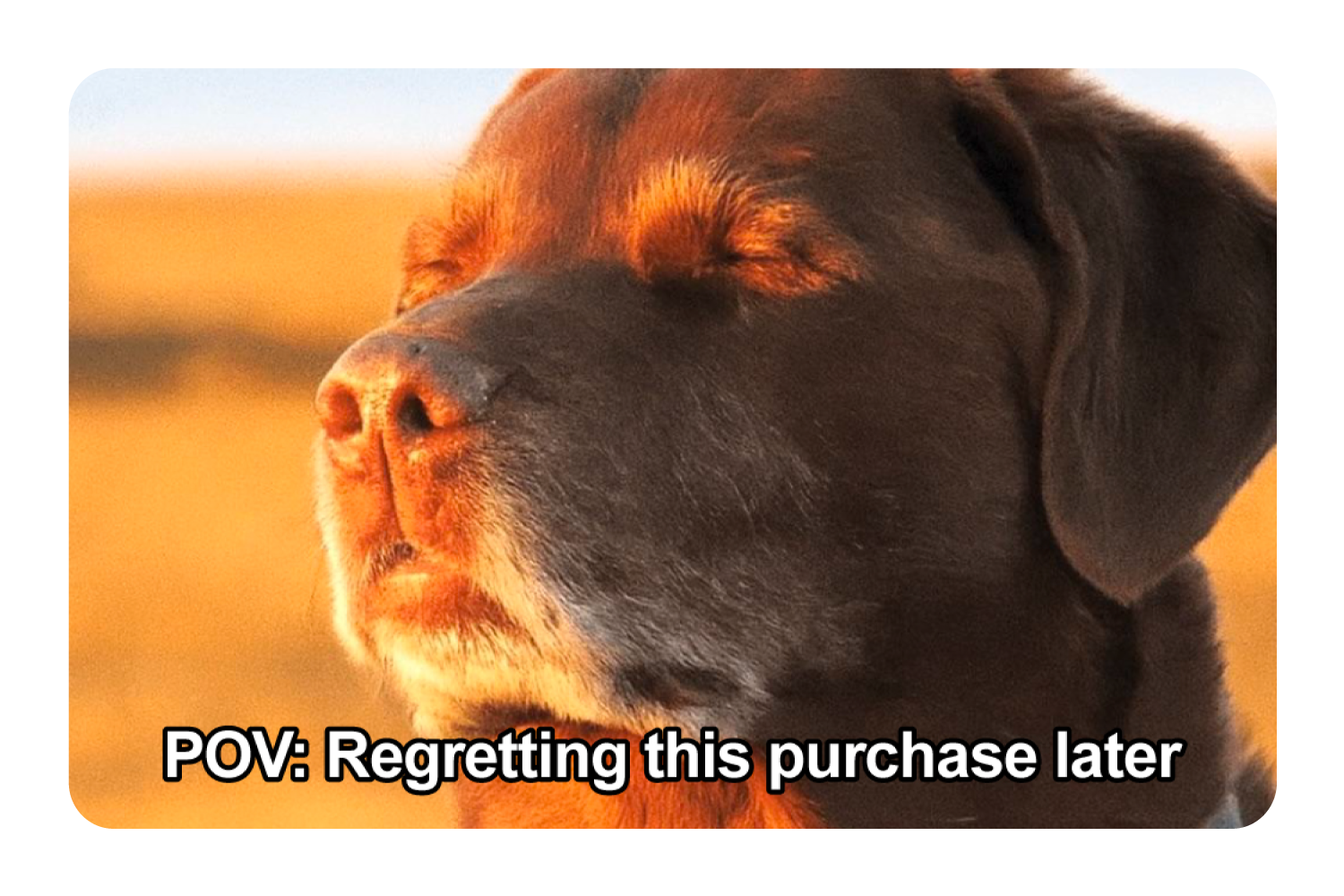 Regret