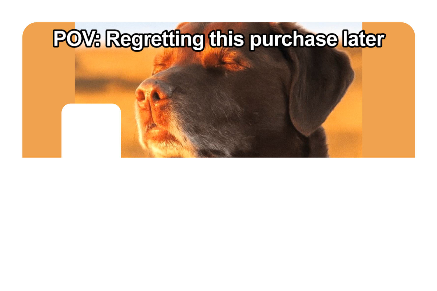 Regret