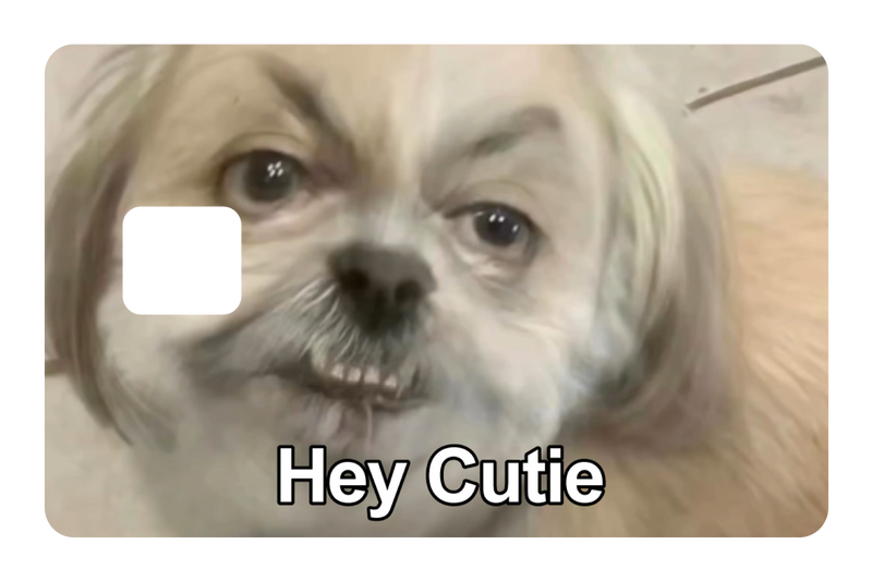 Hey Cutie