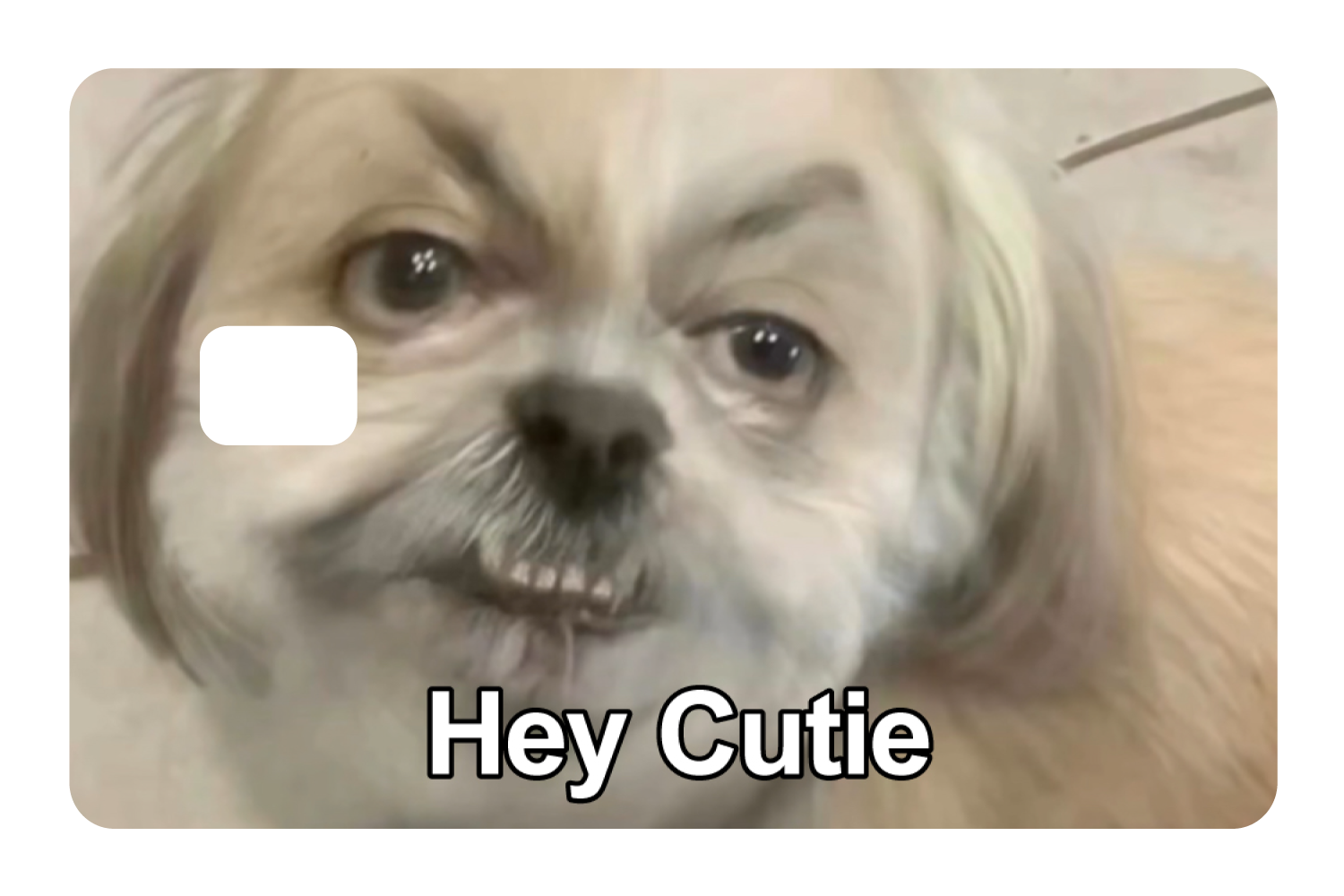 Hey Cutie