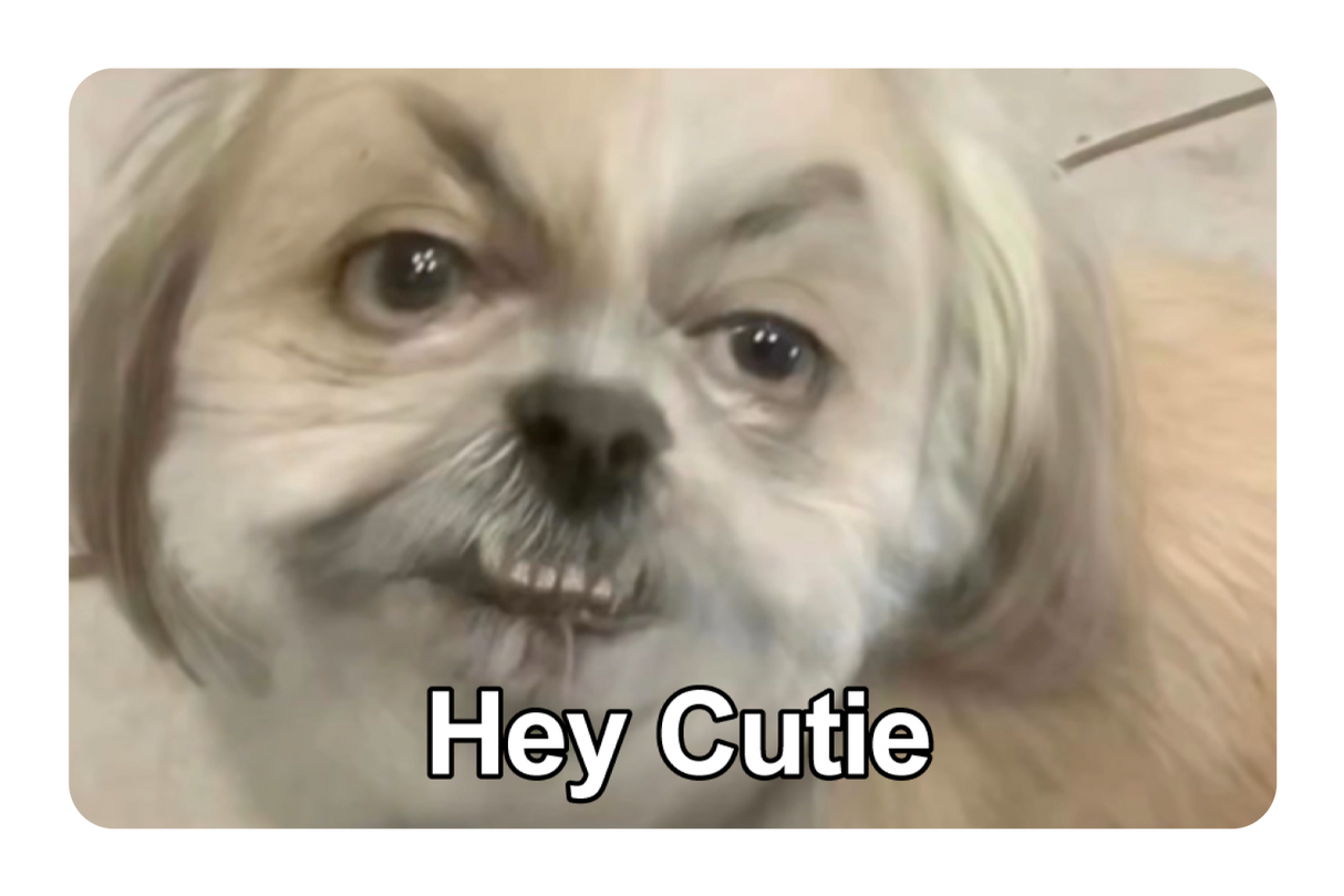 Hey Cutie