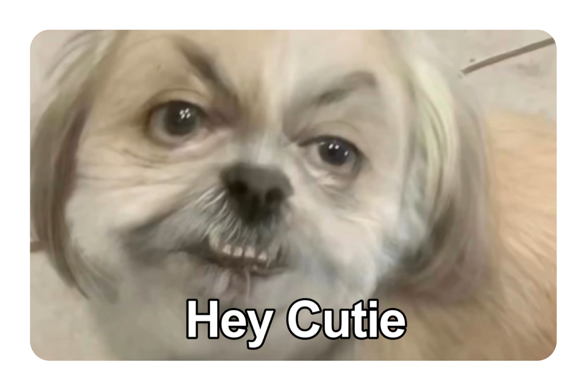 Hey Cutie