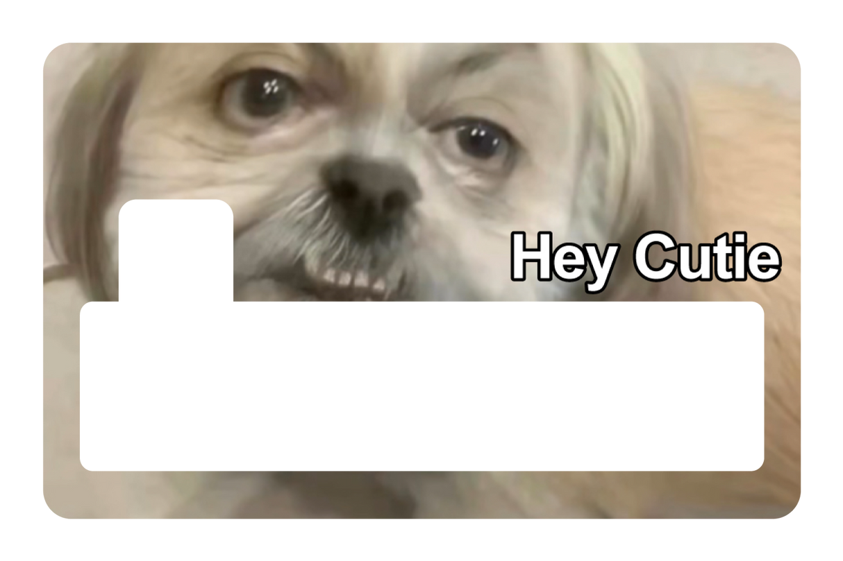 Hey Cutie