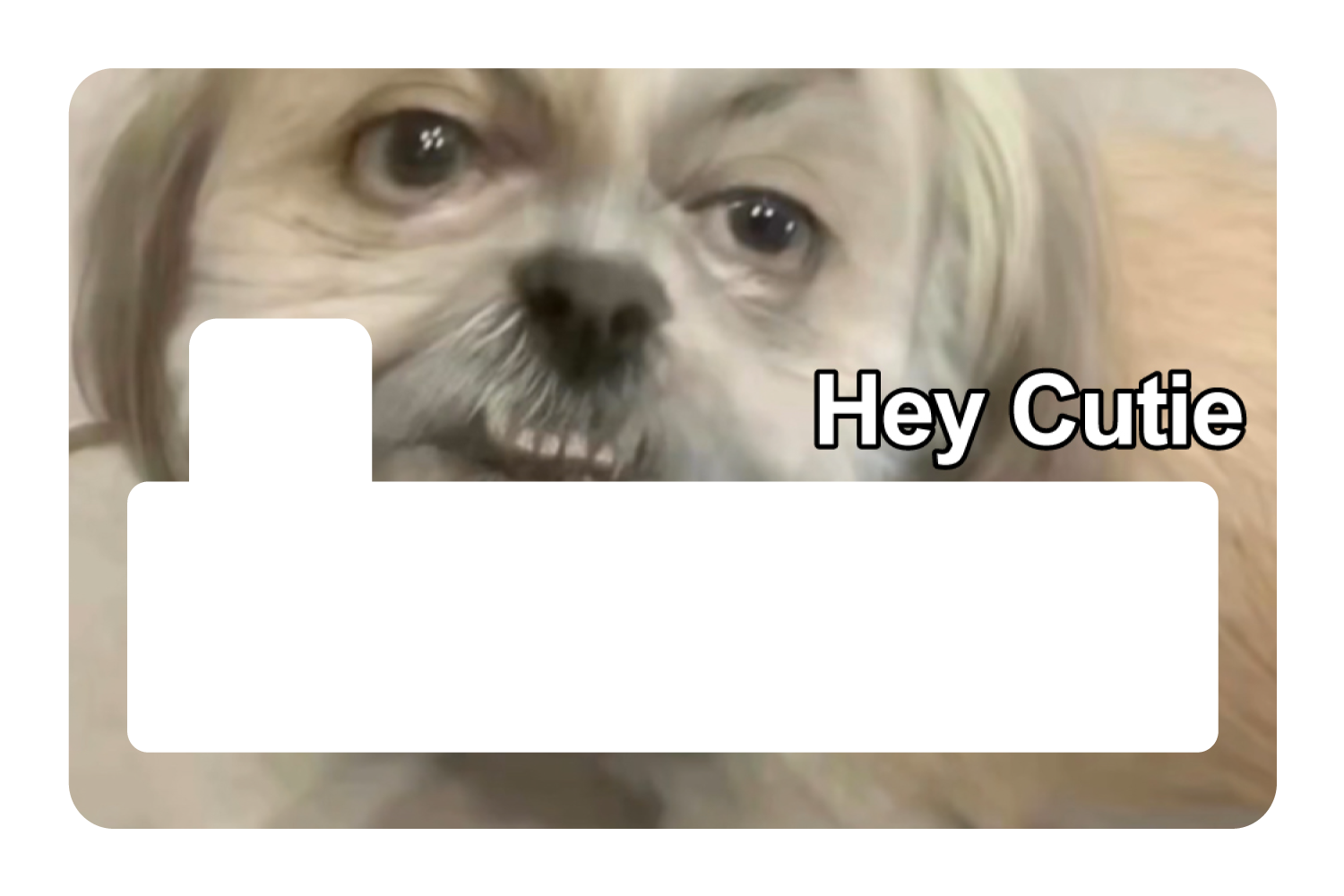 Hey Cutie