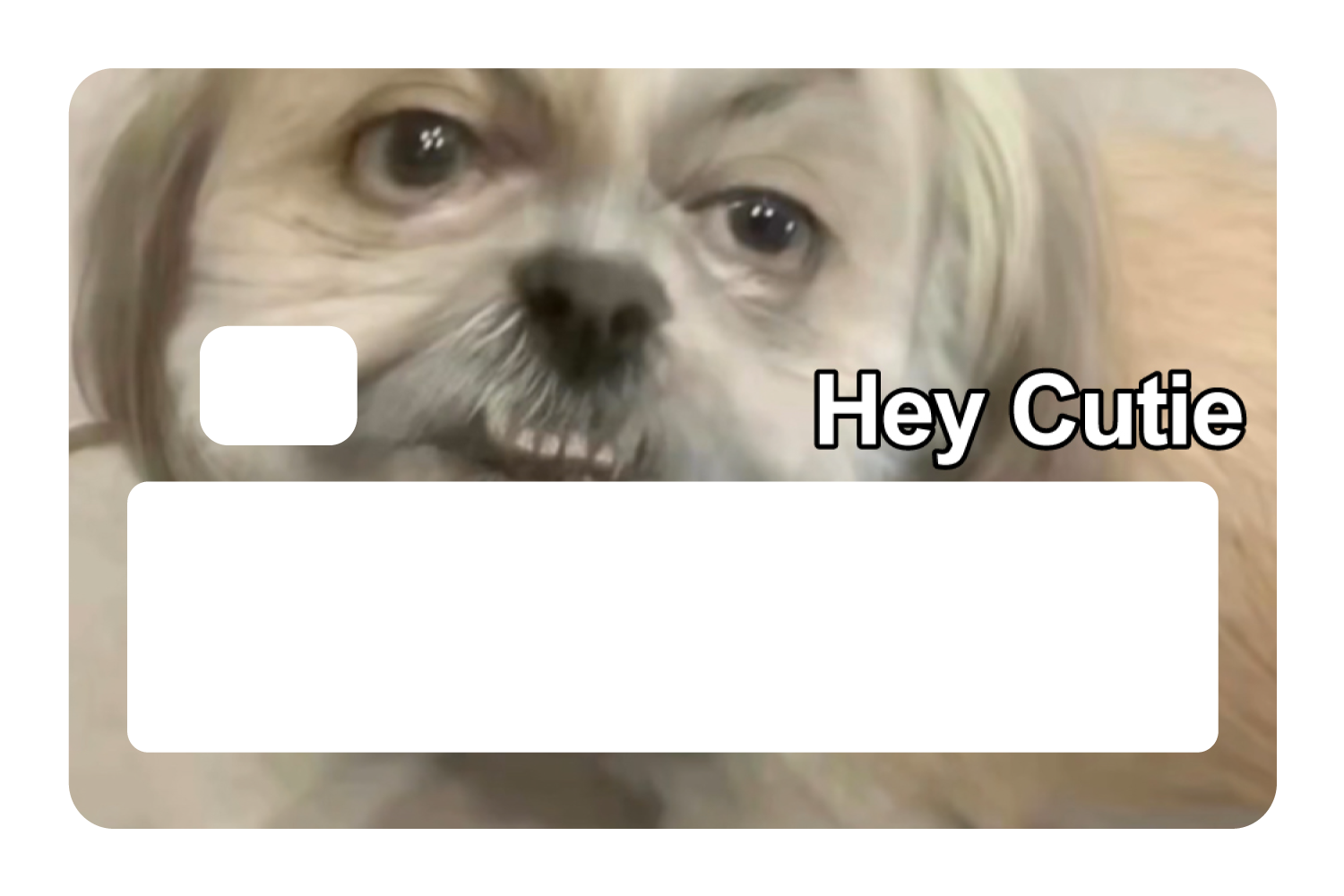 Hey Cutie