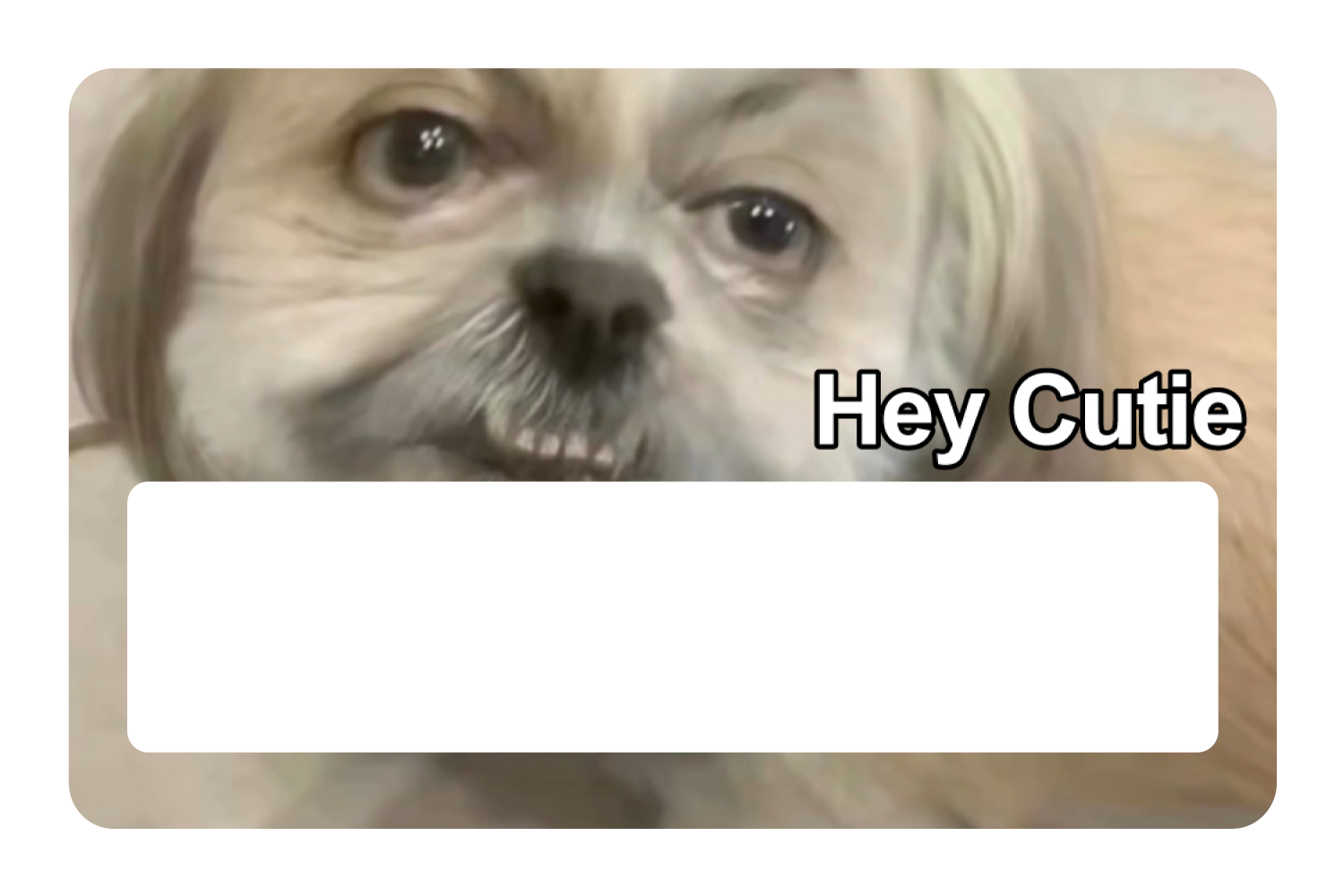 Hey Cutie